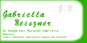 gabriella meiszner business card